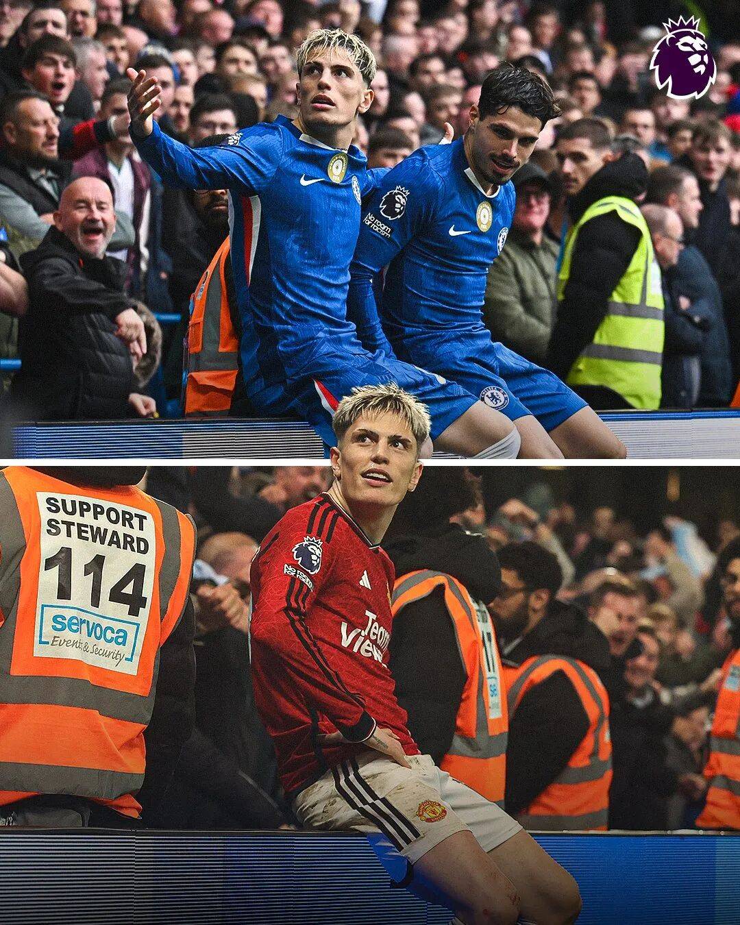 许多系列新 许多系列新